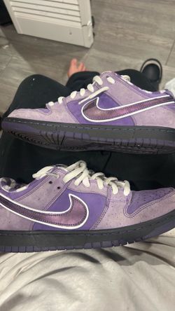 nike sb dunk low purple lobsters