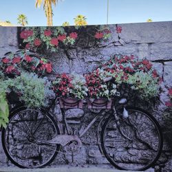 Bicycle Canvas
