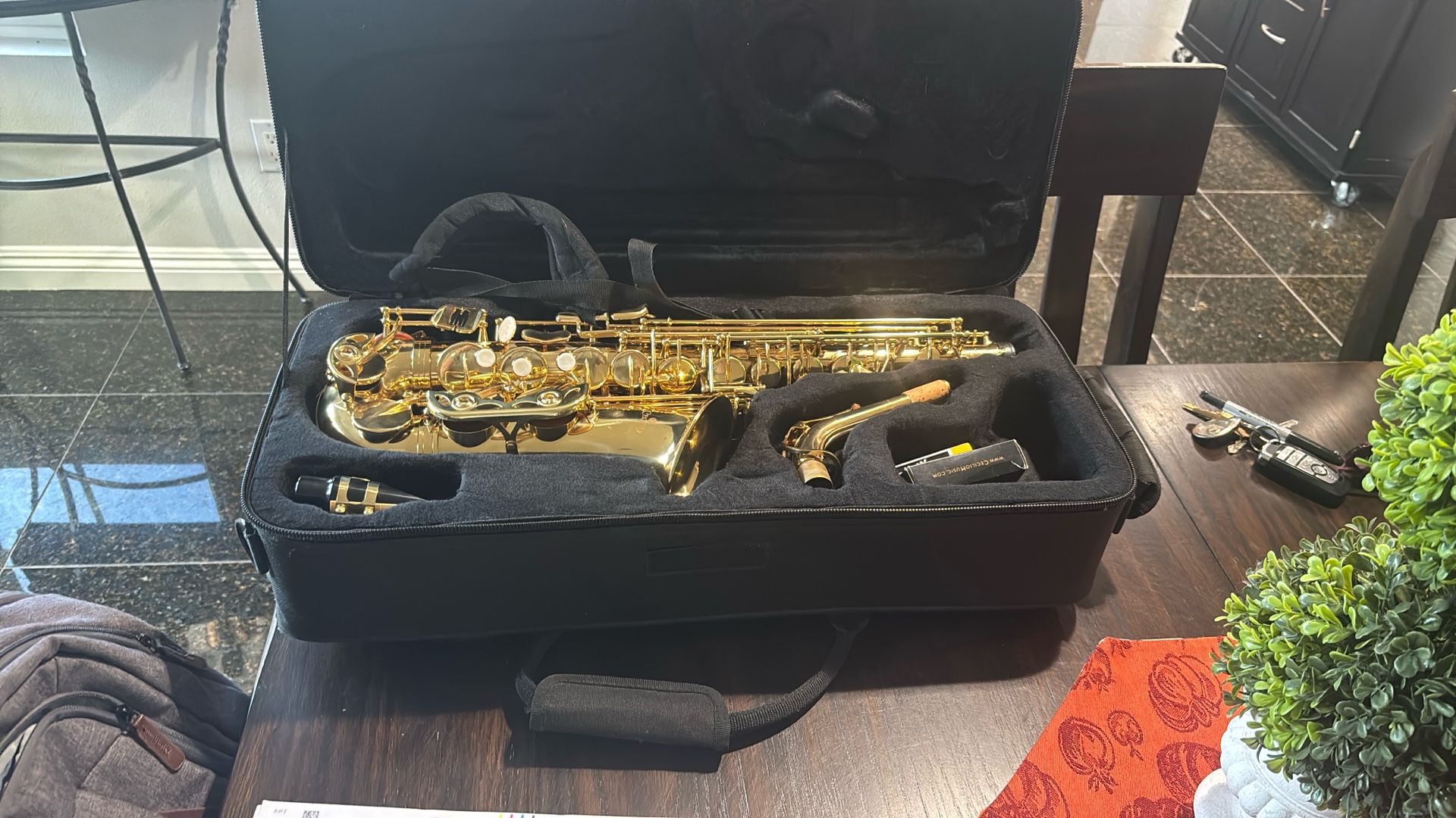 Cecilio Student Saxophone 