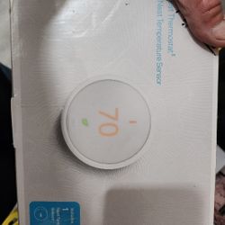 Google Nest Thermostat 