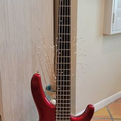 Cort 5 String Bass W/Gig Bag