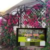 F&R Landscapes