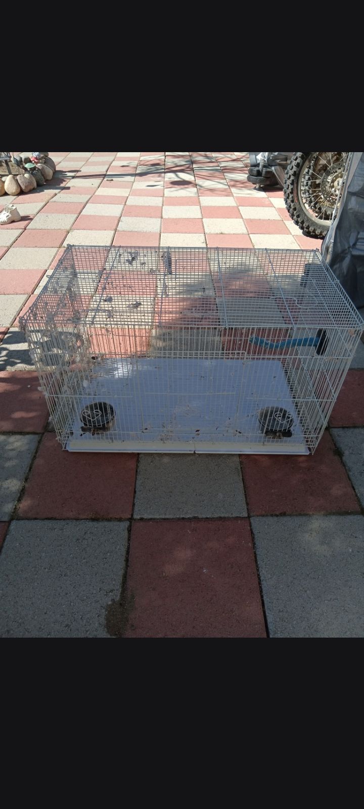 Bird cage