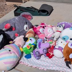 Stuffed Animals - Stuffies