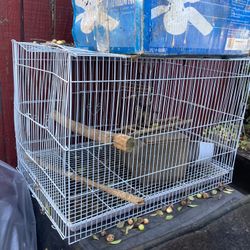 Dog Cage