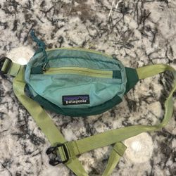 Patagonia Fanny Pack 