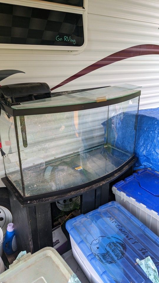 55 Gallon Bow Front Aquarium