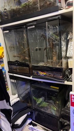 12x12x18 vivariums for sale