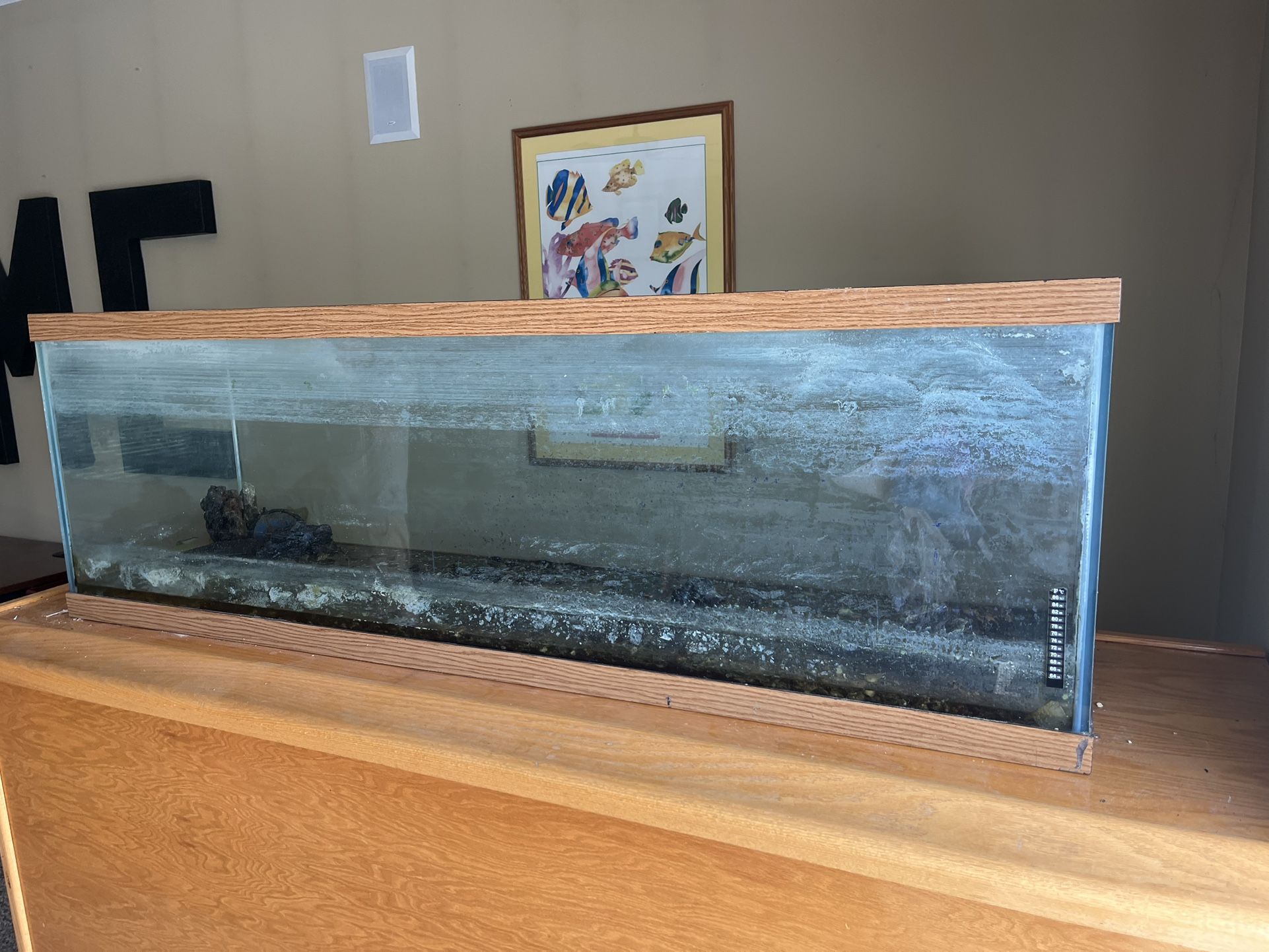FREE Fish Tank 150 Gallons No Leaks