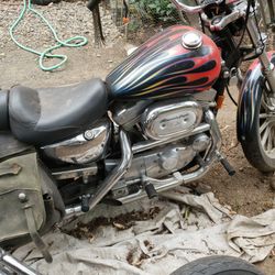 1996 Sportster 