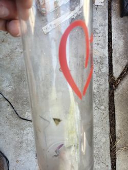 Flower Vase