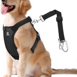 Dog Vehicle Safety Vest Harness, Adjustable Soft Padded Mesh Car Seat Belt Leash Harness with Travel Strap and Carabiner for Most Cars, Size Large, Bl