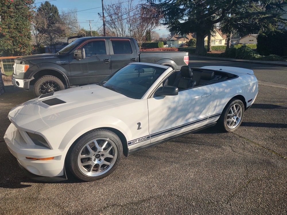 2007 Ford Shelby Gt500