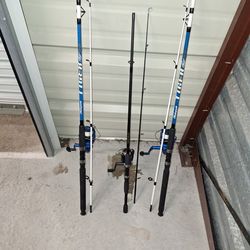 2 Shakespeare Tiger! Fishing Polls