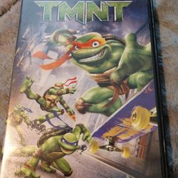 TMNT DVD 2007 Standard/Widescreen (Arlington)(Read Before Messaging)