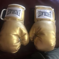 Everlasting Gold Boxing Gloves 