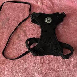 Dog Harness With Leash