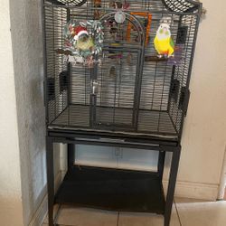 Bird Accessories 