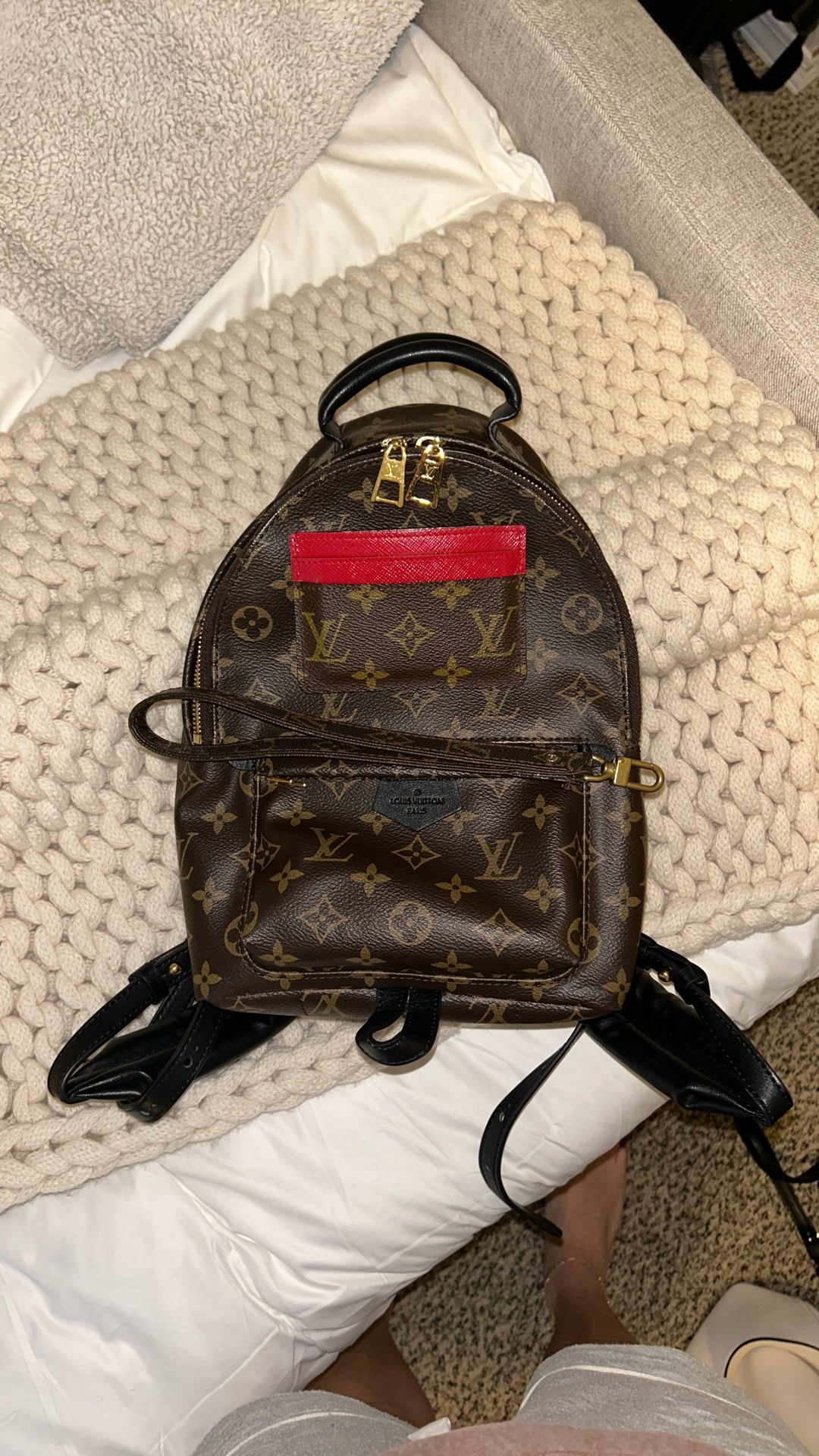 Louis Vuitton Monogram Canvas Palm Springs PM Backpack