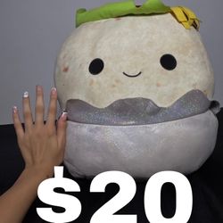 Squish Mellow Burrito