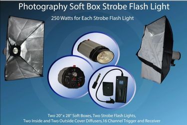 2 Studio Strobe Monolight Lighting Kit with Wireless Trigger – 250W each