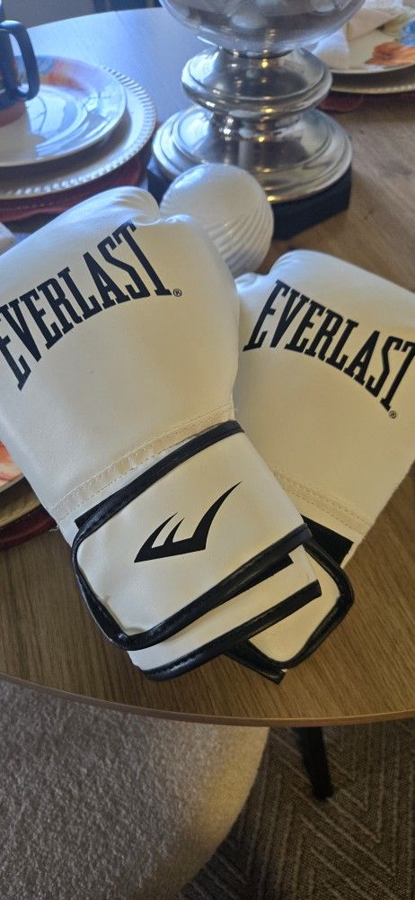 Everlast Boxing Gloves