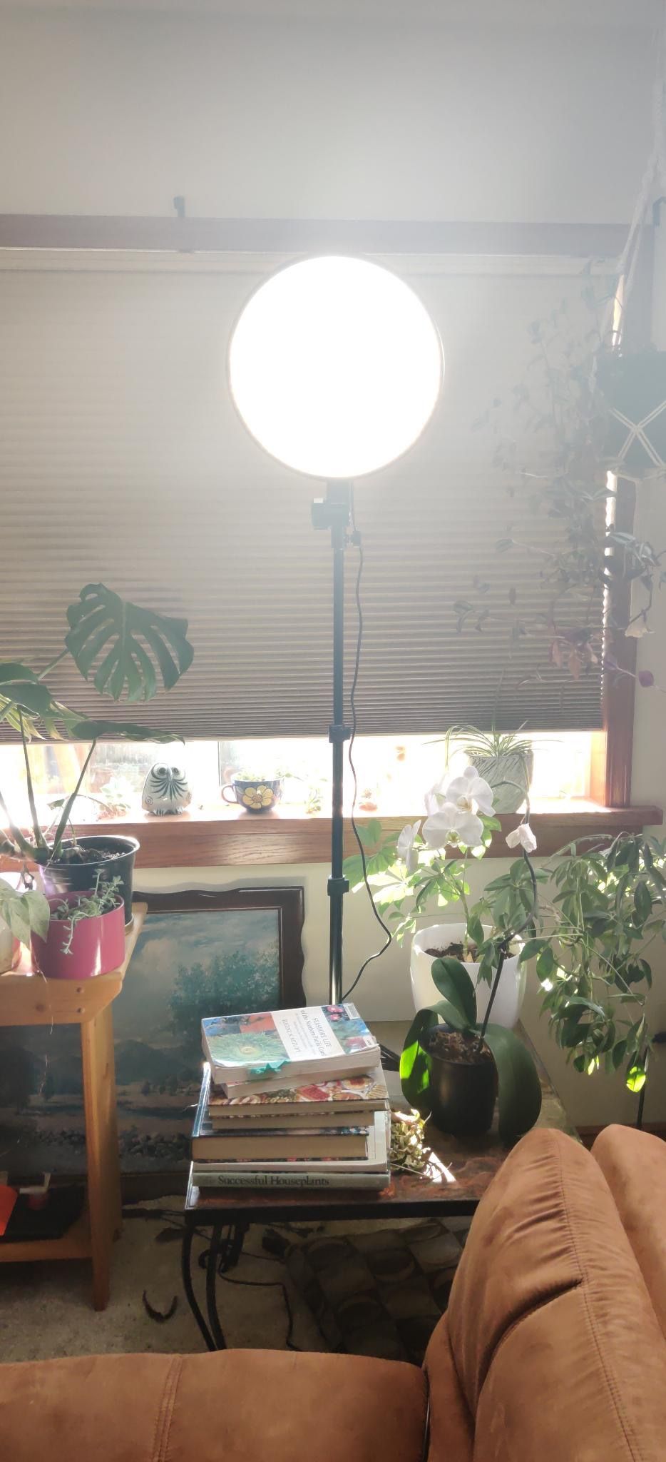 Chroma Sky Portal Mini - Best Light On The Market