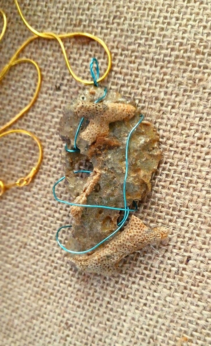 NEW JEWELRY OCEAN NECKLACES HETEROMORPH TUBE WORM SHELL, CRINOID WITH BARRACUDA TEETH, BRYZOIA SEA CORAL FOSSILS