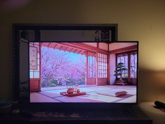 50" VIZIO Smart TV