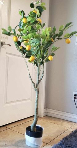 Artificial Lemon Tree