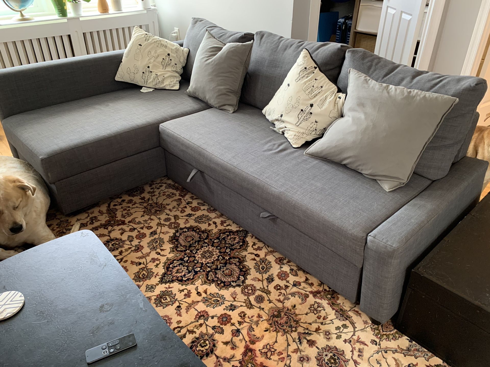 IKEA FRIHETEN Sleeper Sofa