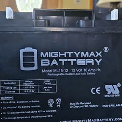 New Mighty Max Riding Mower Battery 