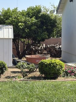 10-20 Gallon Plants/Bushes