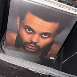 Vinyl Records New Sealed Size 12 