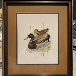 Framed Nature Print by Murr 1956