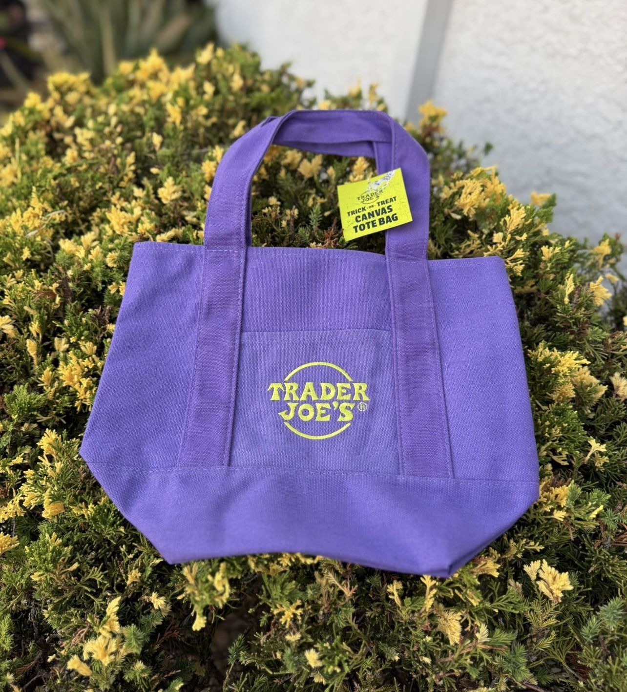 Halloween Trader Joe’s Tote