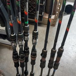 Phenix M1 MX inshore Casting And Spinning Fishing Rods