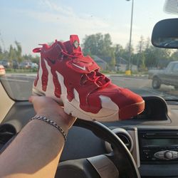 Air DT MAX 96 'Varsity Red' 