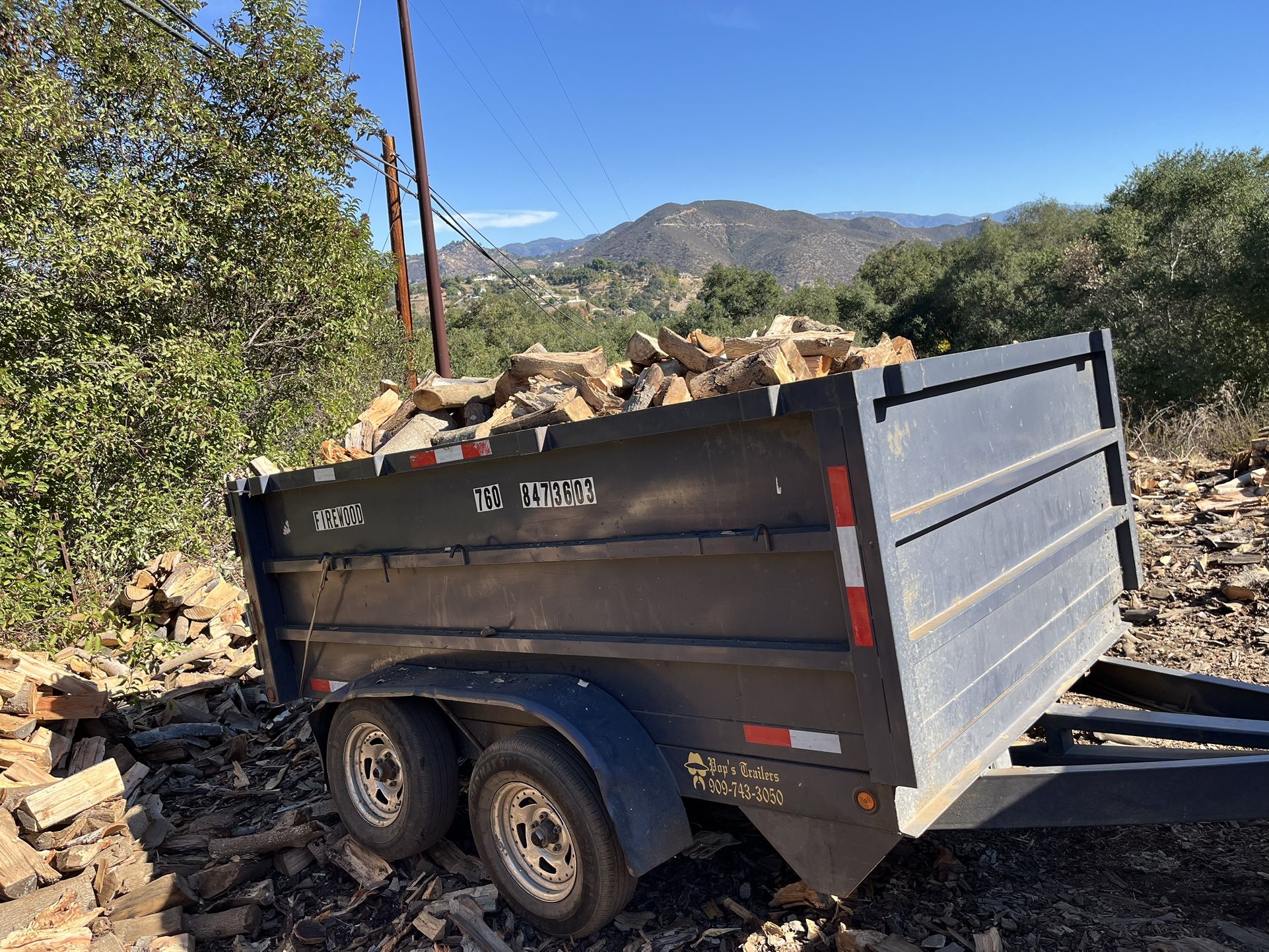 Firewood 