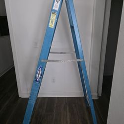 Ladder 6' Heavy Duty