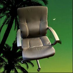 Free Gift! - Black Cushion Office Desk Chair