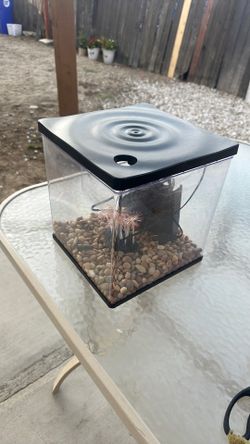Fish tank
