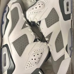 Air Jordan 6 Retro 'Cool Grey'