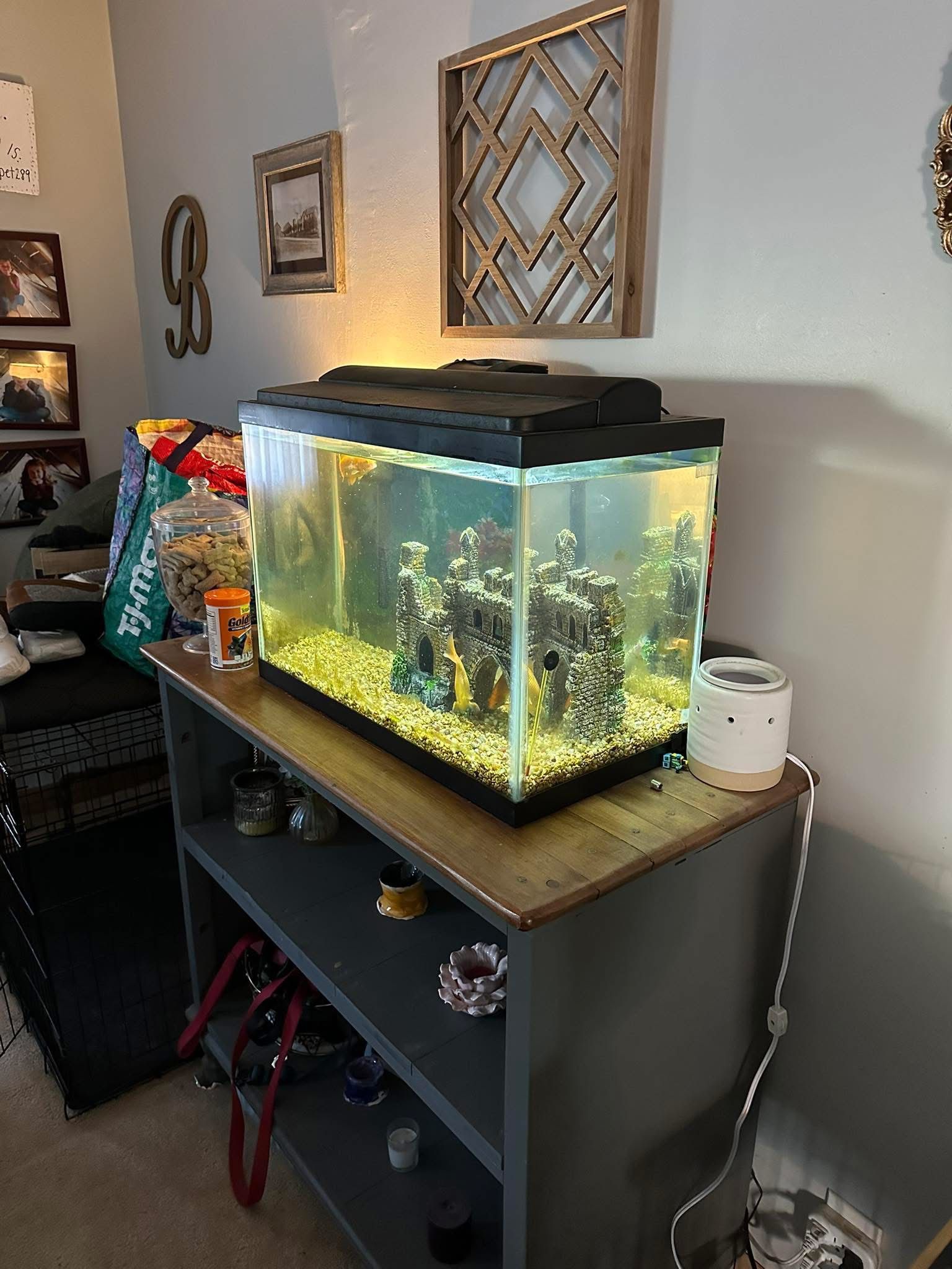 35 Gal Tank With 4 Goldfish