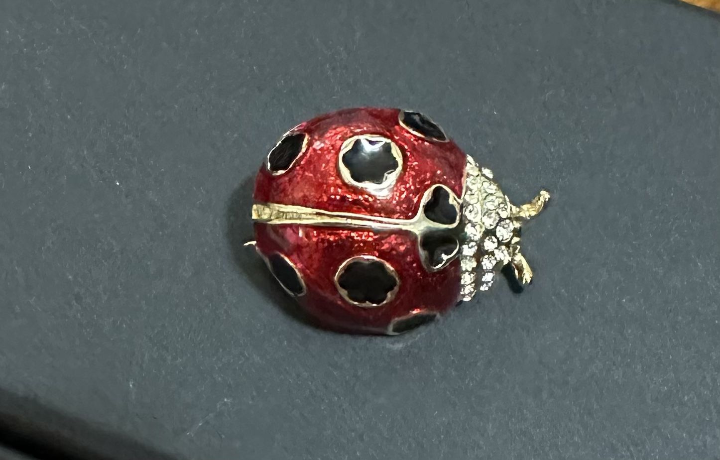 Ladybug Brooch Pin