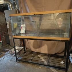 75 Gallon Aquarium 