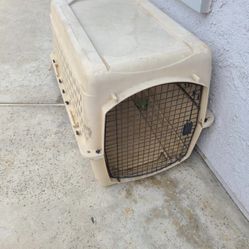 Dog Kennel