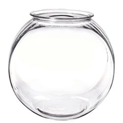 Fish Bowl