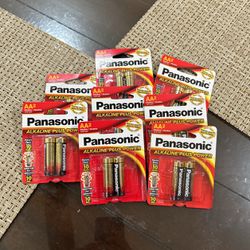 Panasonic Batteries- AA, 2 In Package