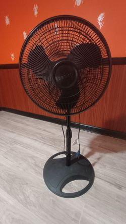 Lasko Black Pedestal Standing Fan